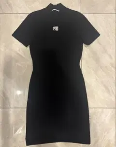 2026年最新】Alexander Wang レディース 半袖ミニワンピースの人気
