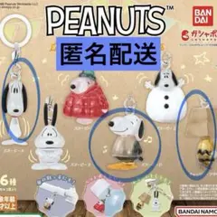 【匿名配送】スヌーピー めじるし　スヌーピー A D チャーリーブラウン　3点