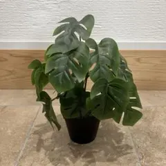 【美品】IKEA モンステラ フェイクグリーン 観葉植物　12cmのサムネイル