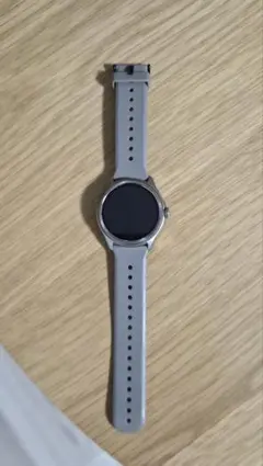 Mobvoi TicWatch スマートウォッチ 本体