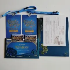 ファンタジースプリングス　コレクション　非売品　ディズニーシー　まとめ売り　★のサムネイル