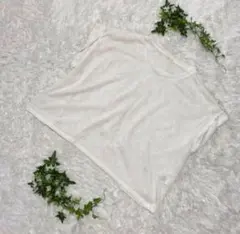 Item thumbnail for item a3320400-5945-4750-aa92-3a599fa0cd34