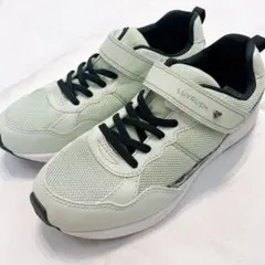 Item thumbnail for item d3066007-e62d-4d5f-ae4f-a0d888ae1f6b