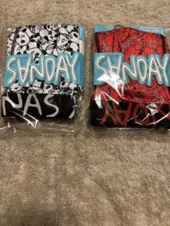 SANDAY ボクサーブリーフ 2枚セット XLサイズ