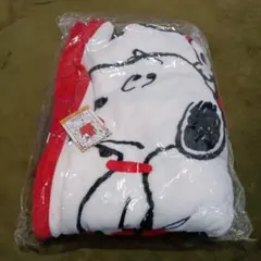 Item thumbnail for item a531f271-d667-410e-a67c-06653a2ee4e0