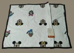 ディズニーフレンズ❤ひざ掛け(ブランケット)(70‪cm✕‬100cm)