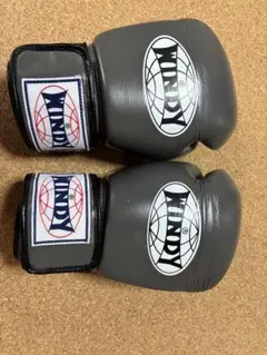 2025年最新】windy グローブ 10の人気アイテム - メルカリ