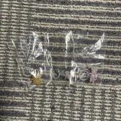 おじゃる丸 めじるしアクセサリー ニコリン坊 オコリン坊 公ちゃん