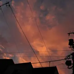 Item thumbnail for item 223cff99-db7e-4e6c-bf42-fc835f7f3d48