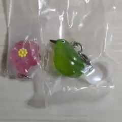 麗を感じるめじるしアクセサリー