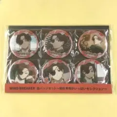 新品 WIND BREAKER 缶バッジセット 蘇枋 隼飛がいっぱいセレクション