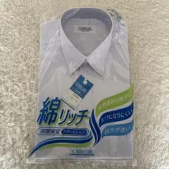 Item thumbnail for item 6b663d01-f9da-4974-8d25-68f929113e1e