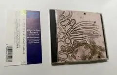 【廃盤】P-MODEL Corrective Errors Remix of 舟