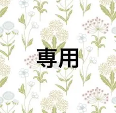 kazuyoshi様 リクエスト 3点 まとめ商品