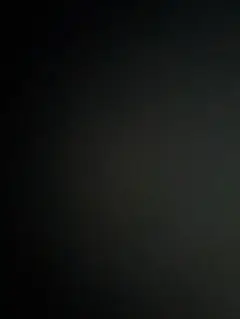 さぁやや様 専用
