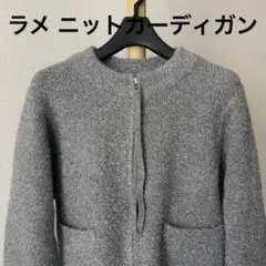 極美品 アダムエロペ ラメニットカーディガン シルバー系