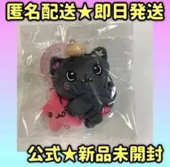 NCT WISH DOLL　ペンライトミニドールキーリング　ぬい　リク クリ 5