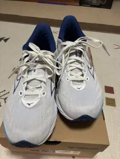 ミズノ　MIZUNOランニングシューズ　ウェーブライダー27cm