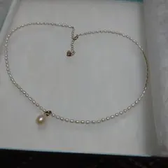 Item thumbnail for item c7008711-4569-42e6-8a96-569e4e1a9de8