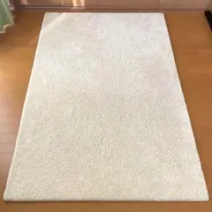 Prevell(プレーベル) ジェイド 130×190 日本製 高品質ラグ