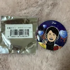 若藤ガチャ ホワイトver. 缶バッジ 甲斐拓也