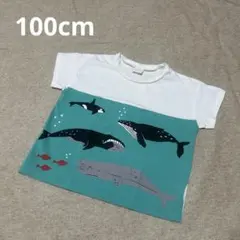 うみのいきもの♡Tシャツ100cmのサムネイル
