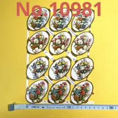 【10981】クロモス6枚セット(シャドーボックス)