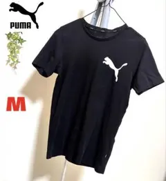 【PUMA】【Mサイズ】プーマ　メンズ カットソー トップス　半袖 Tシャツ