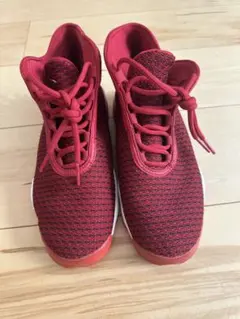 ❣️美品❣️NIKE JORDAN ナイキ ジョーダン ホライズン グレー 28cm 2025年最新】Yahoo!オークション -nike air jordan horizonの