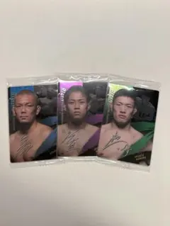 Item thumbnail for item 0330deb0-d179-4034-961b-45819a7f8c3c