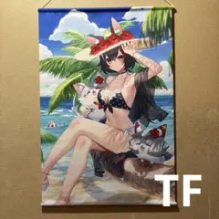 2025年最新】大神ミオ タペストリーの人気アイテム - メルカリ