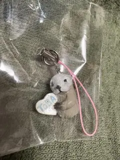 Item thumbnail for item af6972df-3fa4-404d-a478-93ff65a0d303