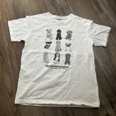 Item thumbnail for item 3e1439aa-a7cd-4034-866c-30444736a597