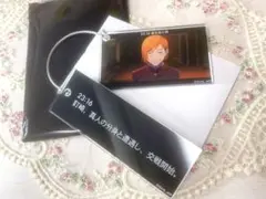 呪術廻戦 渋谷事変 釘崎野薔薇 時系列場面写真 2連キーホルダー アクリル