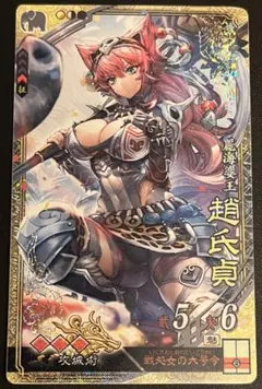 2026年最新】三国志大戦カードの人気アイテム - メルカリ