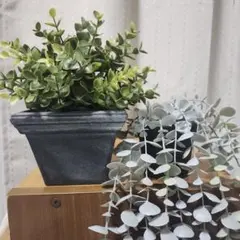 IKEA　イケア　FEJKA フェイカ 人工観葉植物　オレガノ　ユーカリ　鉢カバのサムネイル