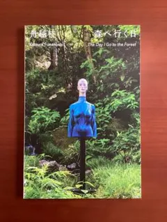 2026年最新】舟越桂の人気アイテム - メルカリ
