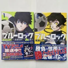 Item thumbnail for item 091bc6ad-a093-4adb-b096-c099c2461134