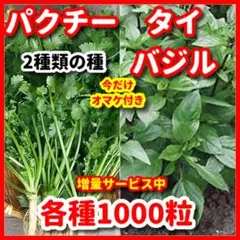 メリハリばあちゃん様 リクエスト 2点 まとめ商品