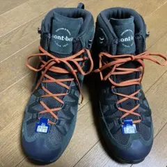 Item thumbnail for item c7a5e0dd-faca-4954-a5a8-3a25d25f00d6