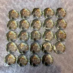 プロセカ グリ缶 8B 花里みのり 24点