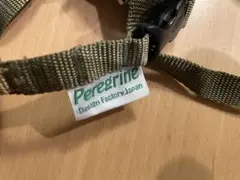 Item thumbnail for item b231afeb-73cc-440a-840f-c22d4c2910ce