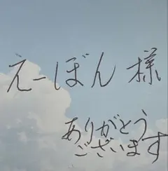 えーぼん 様　専用