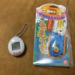 新種発見！！ たまごっち クリアホワイト　スケルトンホワイト　白　その11