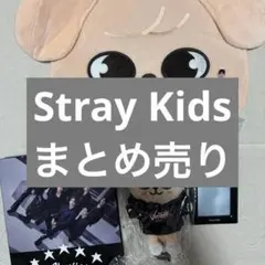 Stray Kids グッズ まとめ売り
