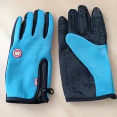 Item thumbnail for item 6e9f67ed-7d8e-424e-a911-5429ae521da0