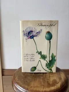【美品】Blumen Fibel 2巻Elsa Felsko ドイツ図鑑 美品】Blumen Fibel 2巻Elsa Felsko ドイツ図鑑 - メルカリ