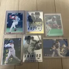 Item thumbnail for item 8940b12d-8f50-49ff-ba90-620406a00ce9