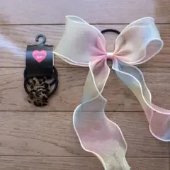 Item thumbnail for item 0a3eefd4-ea94-4e4b-9fdf-8c0e9d2e3844