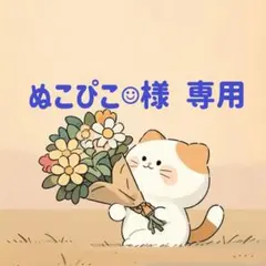 ぬこぴこ☺︎様　専用(12/12迄)